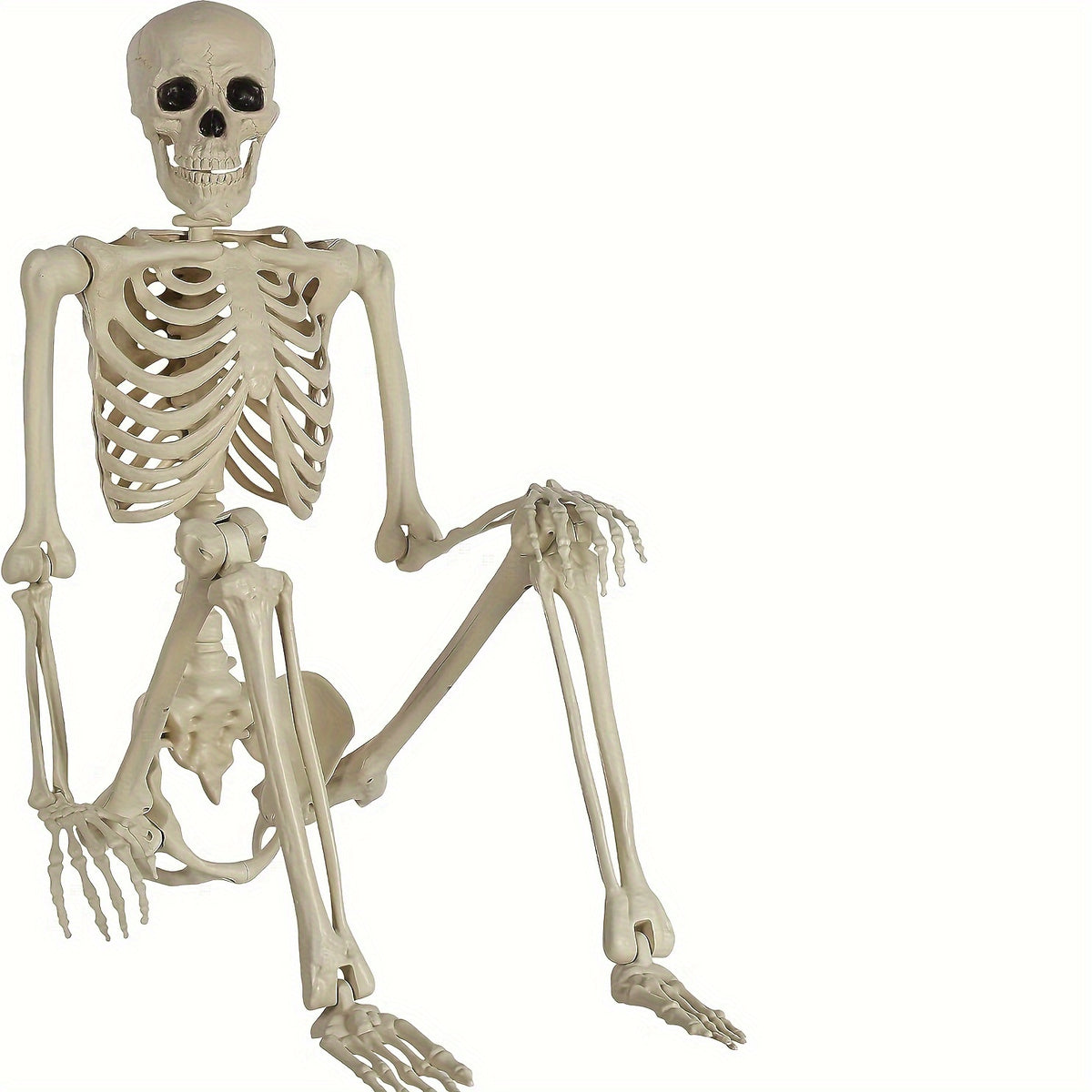 5.4Ft Adjustable Life-Size Human Adult Skeleton Plastic Human Bones with Movable Joints for Halloween Decoration - product image