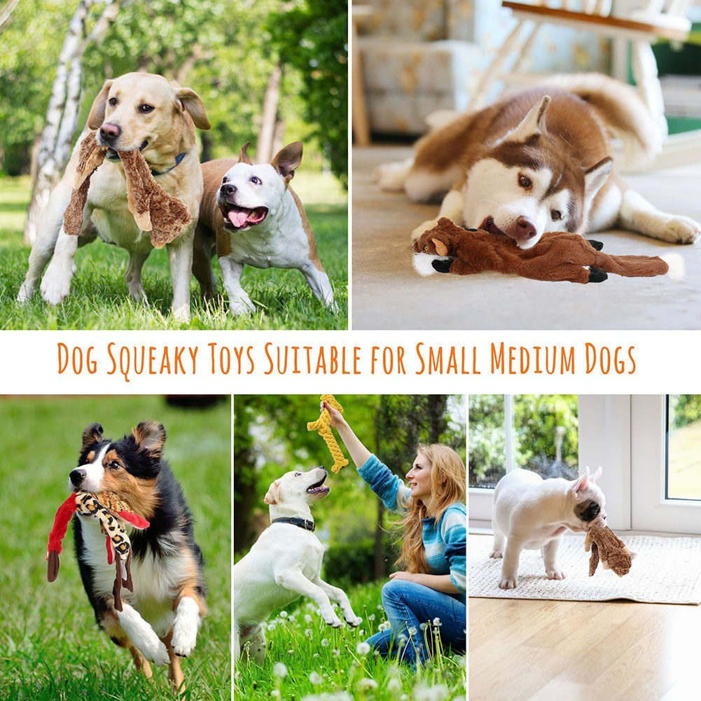 Squeaky Dog Toys 5-Pack No Stuffing Plush Chew Toy Bundle | Durable Animal Toys for Small Medium Large Dogs, Double Squeaker Puppy Teething Toy Set with Bonus - product image 7