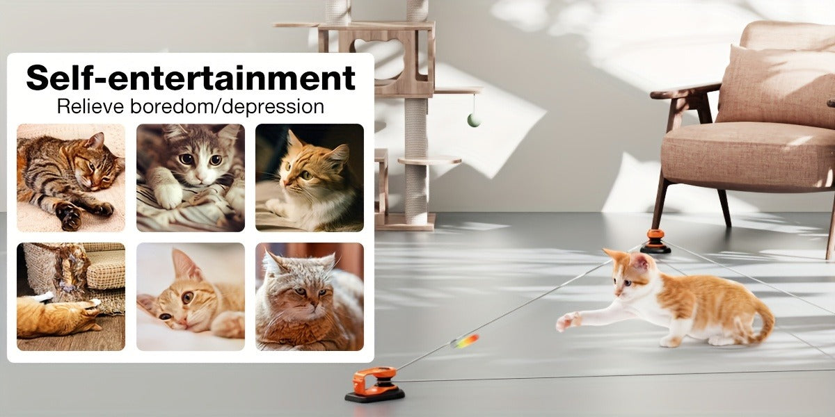 Electric Feather Mouse Lure Coursing Machine with DIY Track, Mouse Sounds, Auto Timer, Boredom Buster for Indoor Cats Kittens, 2 Speed Modes | Interactive Cat - product image 6