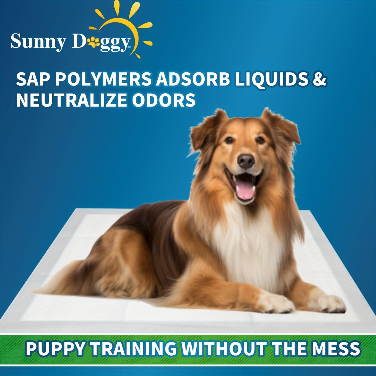 Super Absorbent Leak-Proof Potty Pads with Odor Control, Housebreaking Training Pads for Dogs, 240 Count, 22"x22" 30"x36" 36"x36" | Disposable Dog Pee Pads for - product image