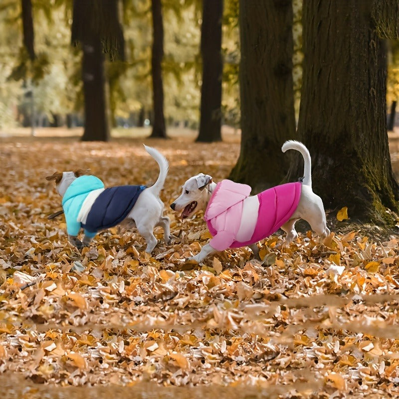 Dog Winter Coat Puffer Jacket Windproof Warm Padded Snow Vest for Small Breeds – Sizes L XL XXL – Featherlight Outdoor Dog Clothes for Chihuahua Poodle - product image 9