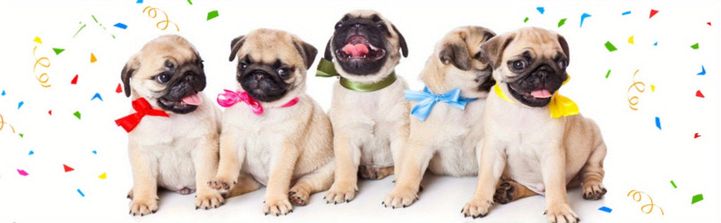 Soft Chew Toys for Small to Medium Dogs, Cute Teething Toys Set with Squeaker, Interactive Dog Toy Bundle | Dog Squeaky Toys 12 Pack Stuffed Animal Plush Puppy - product image 9