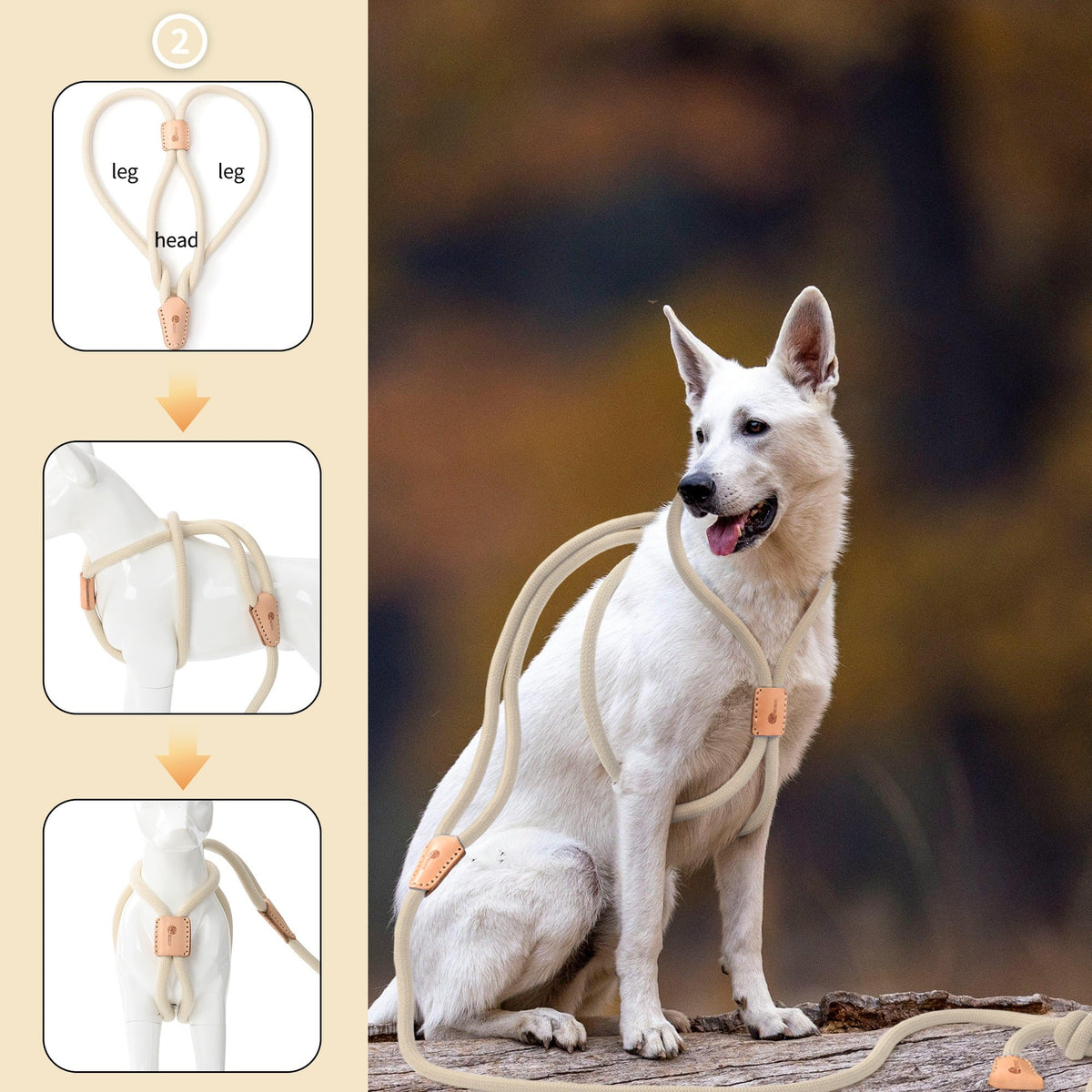 No Pull All-in-One Training Leash for Puppies & Small Dogs, Adjustable Slip Lead with Soft Rope, Secure Control for Walking & Training – Dog Slip Leash and - product image 17