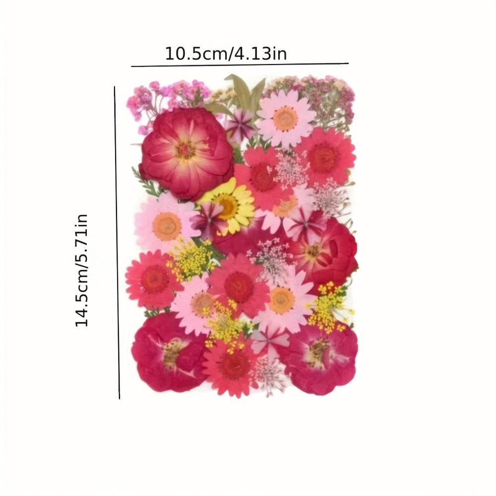 Dried Pressed Flowers Kit 500pcs – Natural Real Flower Petals & Leaves for Resin Art, Nail Art, Jewelry Making, Scrapbooking, Phone Case Decor, Candle Making & DIY Floral Crafts - product image 2