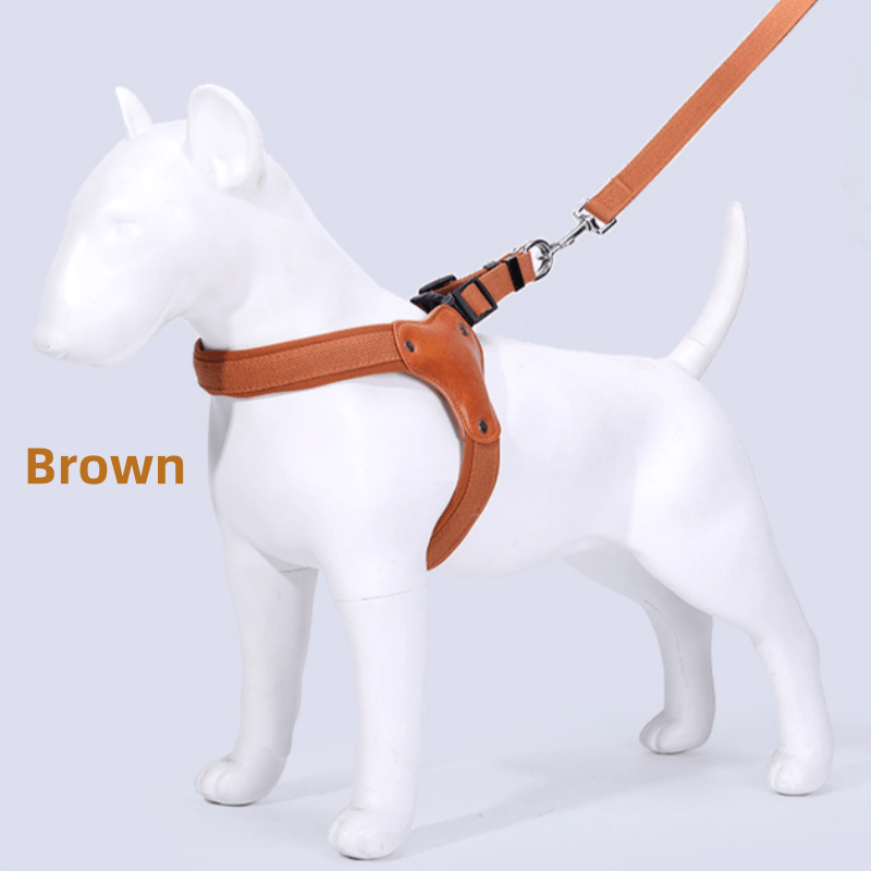 Outdoor Safety Leash for Large Medium Small Dogs, M/L/XL, Brown Black Red – Dog Leash & Harness Set - product image
