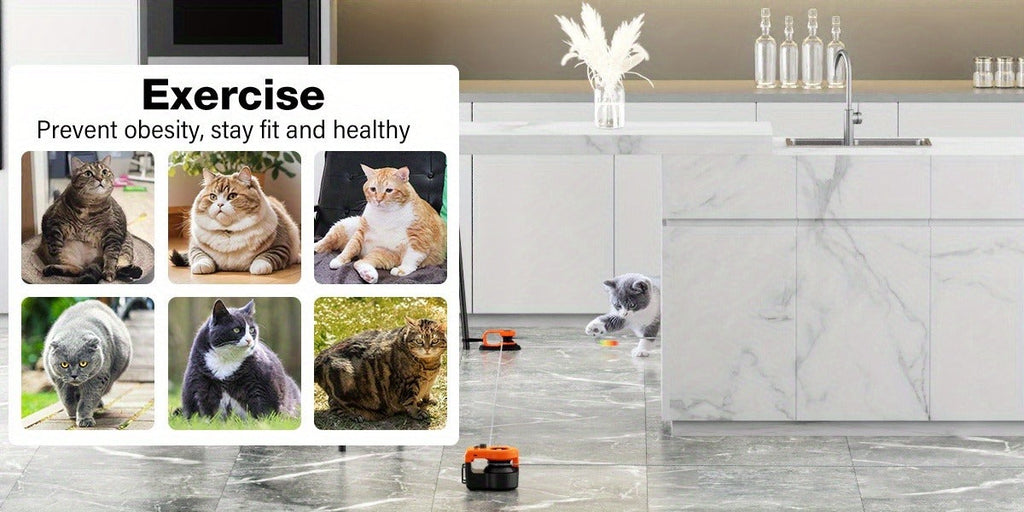 Electric Feather Mouse Lure Coursing Machine with DIY Track, Mouse Sounds, Auto Timer, Boredom Buster for Indoor Cats Kittens, 2 Speed Modes | Interactive Cat - product image 13