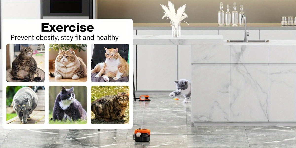 Electric Feather Mouse Lure Coursing Machine with DIY Track, Mouse Sounds, Auto Timer, Boredom Buster for Indoor Cats Kittens, 2 Speed Modes | Interactive Cat - product image 13