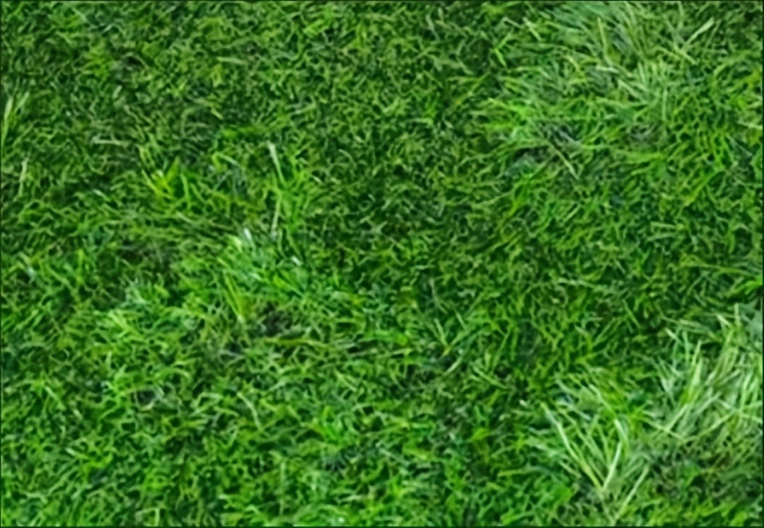 Odor-Proof Pet Training Lawn Mat for Indoor Outdoor Use, Dog Urine Grass Pad 18 x 28 Inch for Puppies & Adult Dogs | Artificial Grass Dog Potty Pad Washable - product image 14