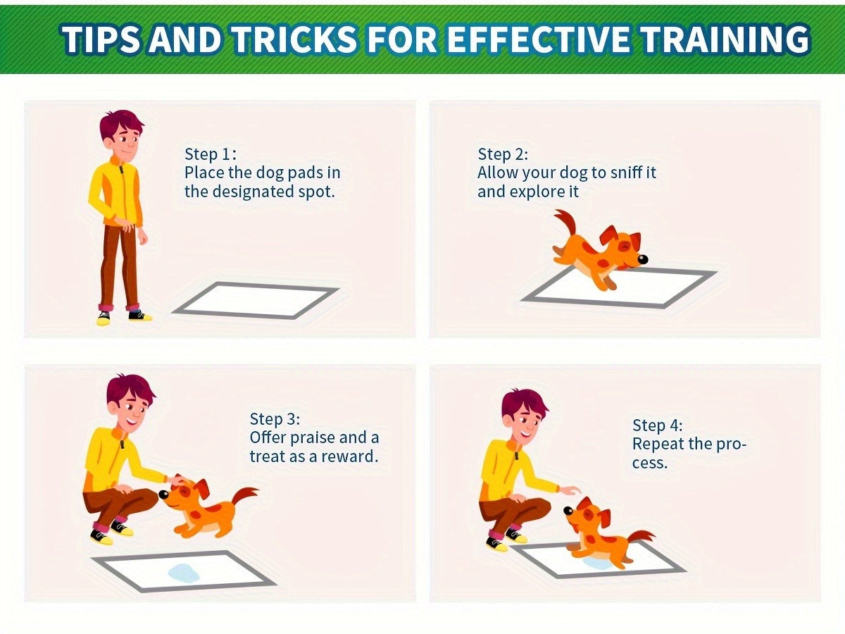 Super Absorbent Leak-Proof Potty Pads with Odor Control, Housebreaking Training Pads for Dogs, 240 Count, 22"x22" 30"x36" 36"x36" | Disposable Dog Pee Pads for - product image 15