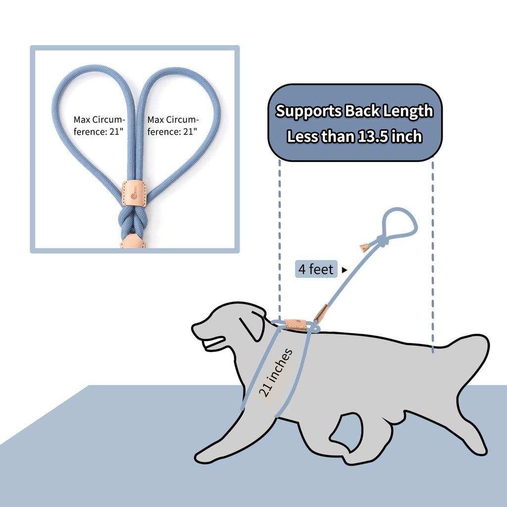 No Pull All-in-One Training Leash for Puppies & Small Dogs, Adjustable Slip Lead with Soft Rope, Secure Control for Walking & Training – Dog Slip Leash and - product image 58