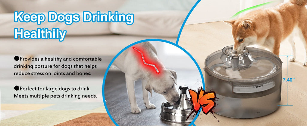 Automatic Pet Water Dispenser Triple Filtration with Splatter Guard & Cleaning Kit for Large Dogs & Multiple Pets 1.3Gal or 2Gal Options – Dog Water Fountain 2 - product image 20
