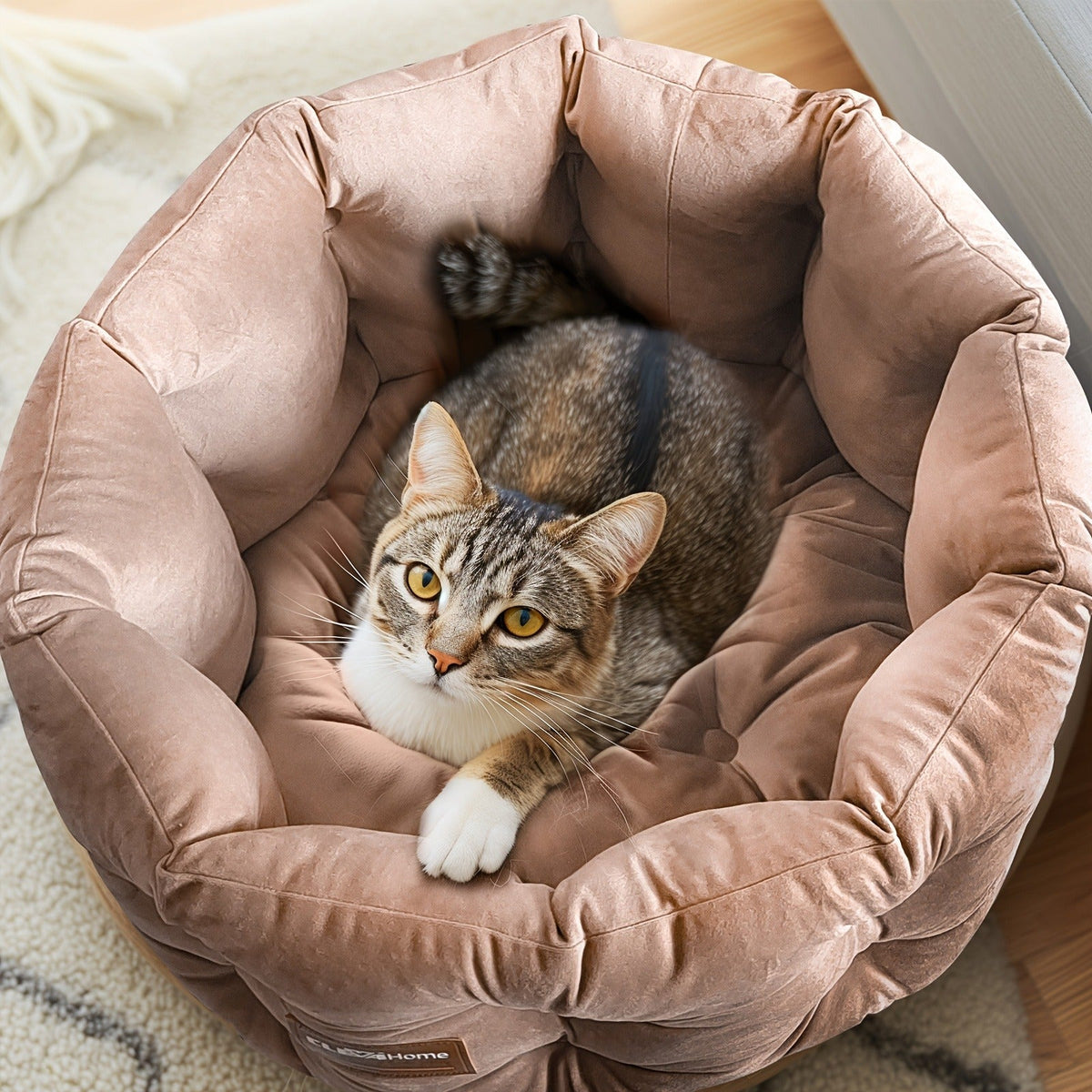 Cat Bed Round Deep Nest for Indoor Cats up to 15lbs | Machine Washable Non-Slip Bottom | Luxurious Velvet Feel Extra High Sides | Cozy Donut Cat Bed 20x20 in - product image 8