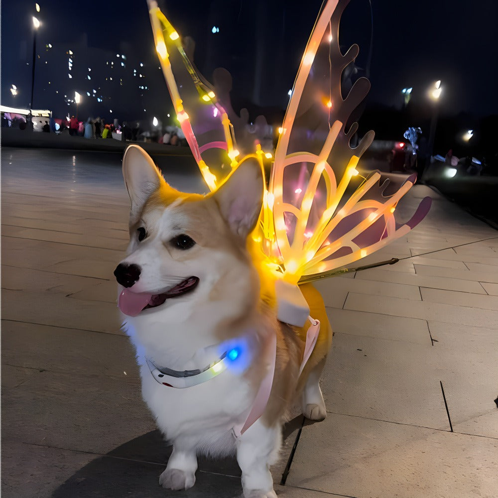 Multi-Color Illuminated Wings for Halloween, Christmas, Carnival, Cosplay & Themed Pet Parties, One Size Fits Most – LED Light-Up Butterfly Angel Wings Costume for Dogs, Girls & Women