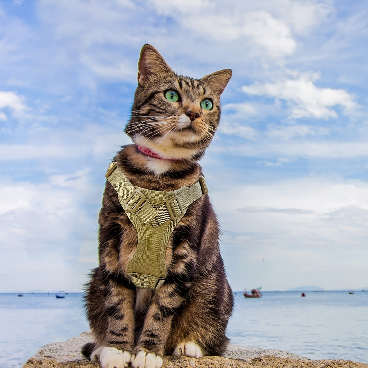 Escape-Proof Training Vest Harness in Black Khaki Red Rose Red Mineral Green & Mixed Colors | Cat Tactical Vest Harness Adjustable 600D Chest Strap for Cats - product image 12