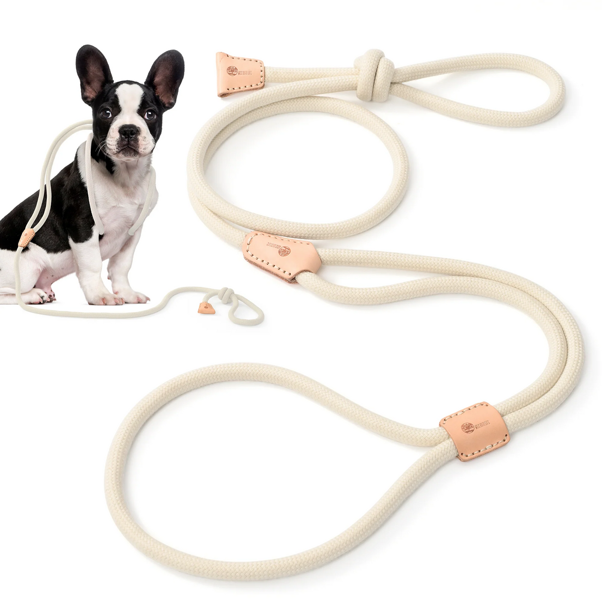 No Pull All-in-One Training Leash for Puppies & Small Dogs, Adjustable Slip Lead with Soft Rope, Secure Control for Walking & Training – Dog Slip Leash and - product image 8