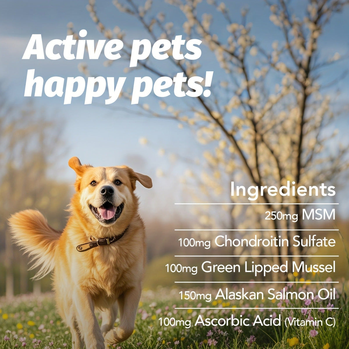 Hip & Joint Supplement for Dogs with Glucosamine & Chondroitin – MSM, Alaskan Salmon Oil Soft Chews for Mobility & Flexibility, Advanced Joint Care for All - product image 10