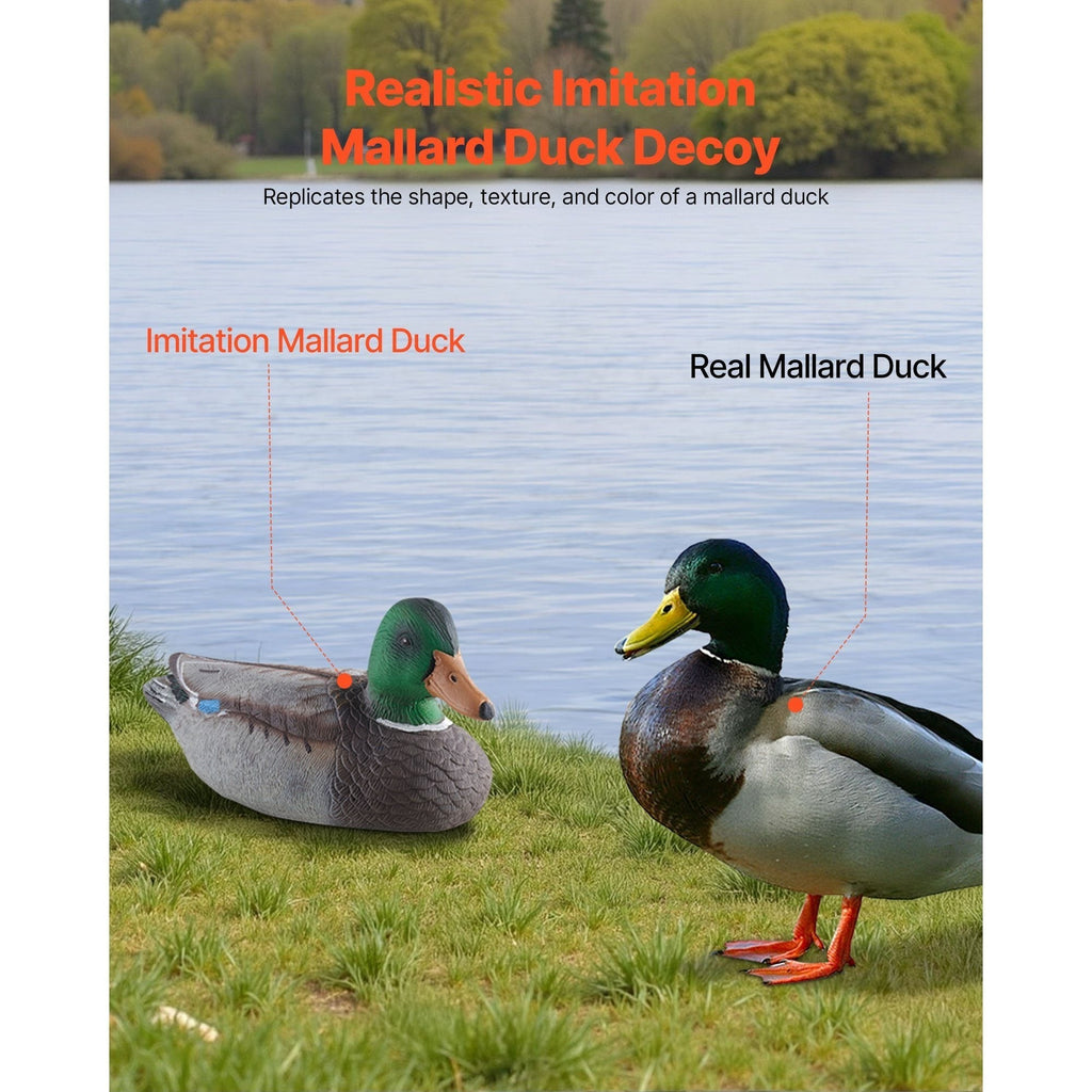 Realistic Floating Teal Decoy Set with Bionic Painting, XPE Compression Storage, 3 Male & 3 Female Ducks for Hunting, Pond Garden Yard Decoration, Flock - product image 7