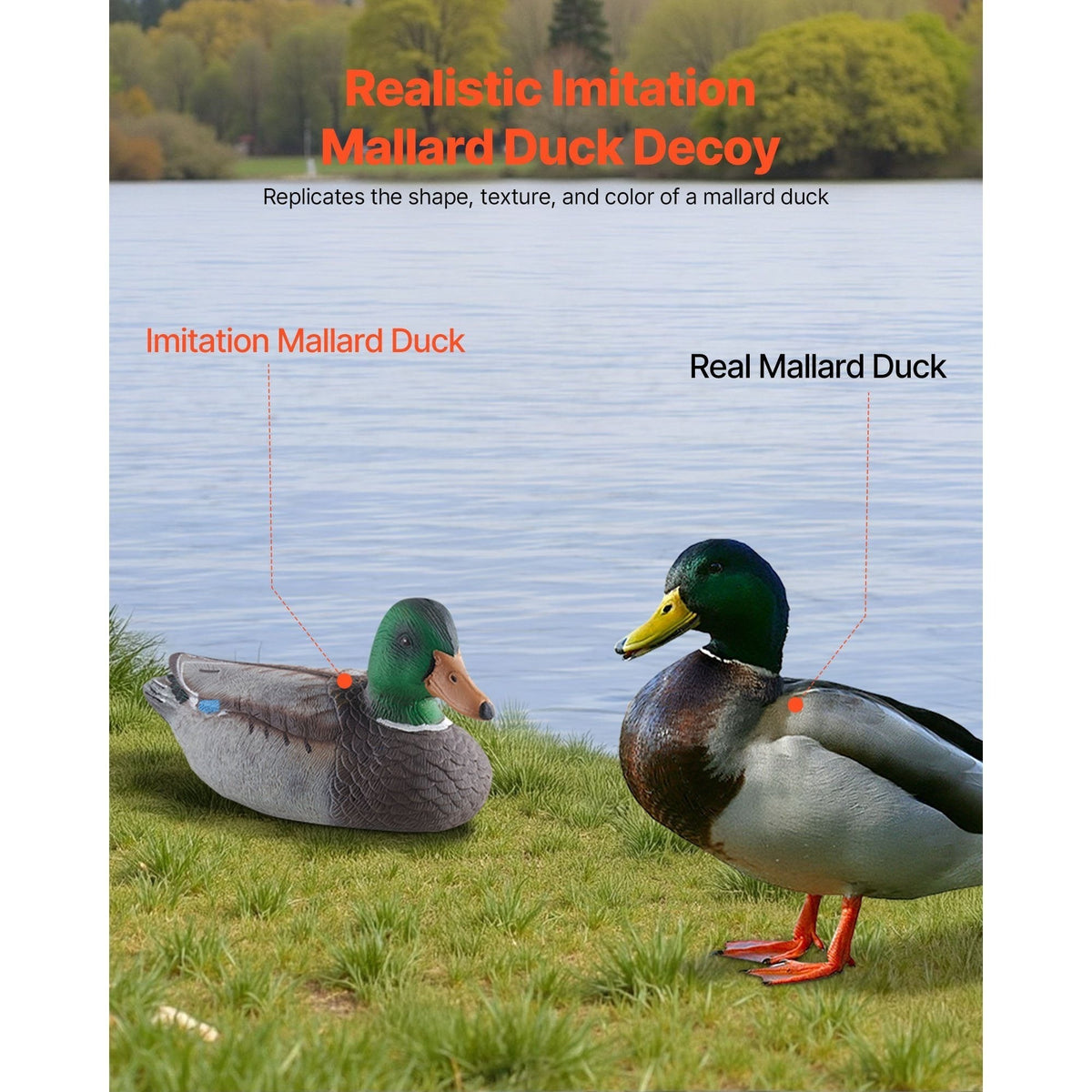 Realistic Floating Teal Decoy Set with Bionic Painting, XPE Compression Storage, 3 Male & 3 Female Ducks for Hunting, Pond Garden Yard Decoration, Flock - product image 7