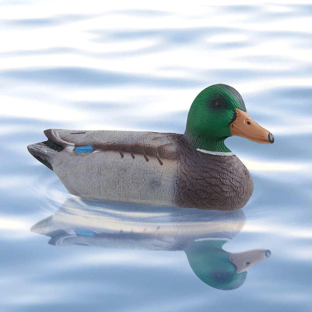 Realistic Floating Teal Decoy Set with Bionic Painting, XPE Compression Storage, 3 Male & 3 Female Ducks for Hunting, Pond Garden Yard Decoration, Flock - product image 4