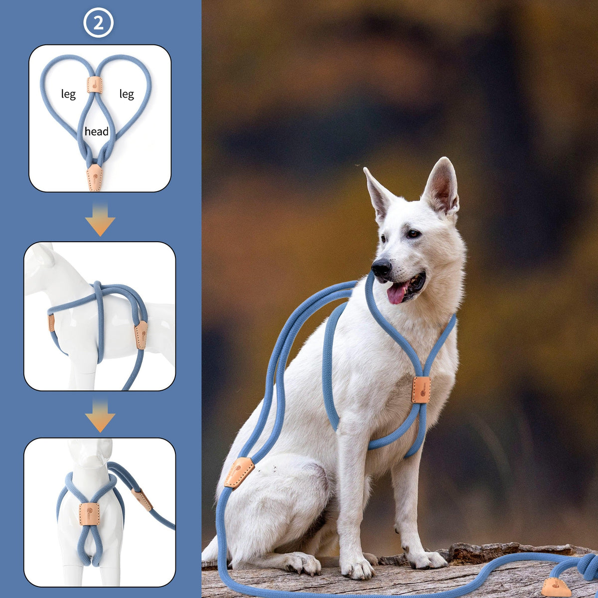 No Pull All-in-One Training Leash for Puppies & Small Dogs, Adjustable Slip Lead with Soft Rope, Secure Control for Walking & Training – Dog Slip Leash and - product image 19