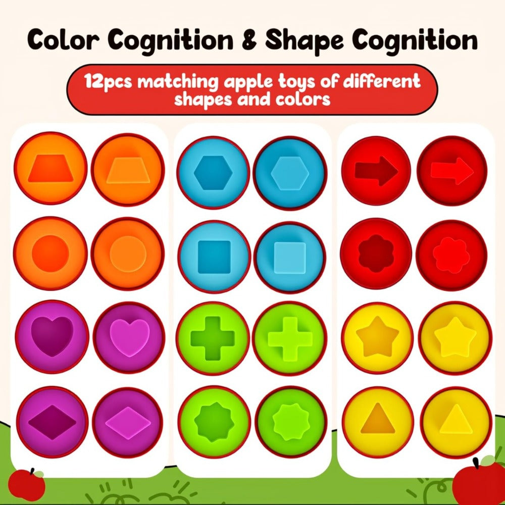 Geometric Color Sorting Matching Game, Fine Motor Skills Cognitive Development Montessori Learning Toy for Boys Girls, First Birthday Baby Shower Gift – Apple Shape Sorter Toy for Toddlers Ages 10M-3 Years