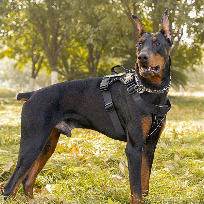 Reflective No-Pull Dog Harness with Patches – Adjustable Soft Mesh Vest Harness for Small, Medium & Large Dogs – S, M, L, XL - product image 2