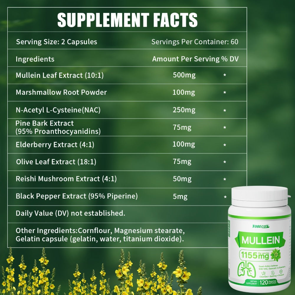 Lung Cleanse Capsules 120 Count with Mullein & NAC for Respiratory Support, Airway & Breathing Comfort, Immune Health, Seasonal & Year-Round Supplement for Adults - product image 2