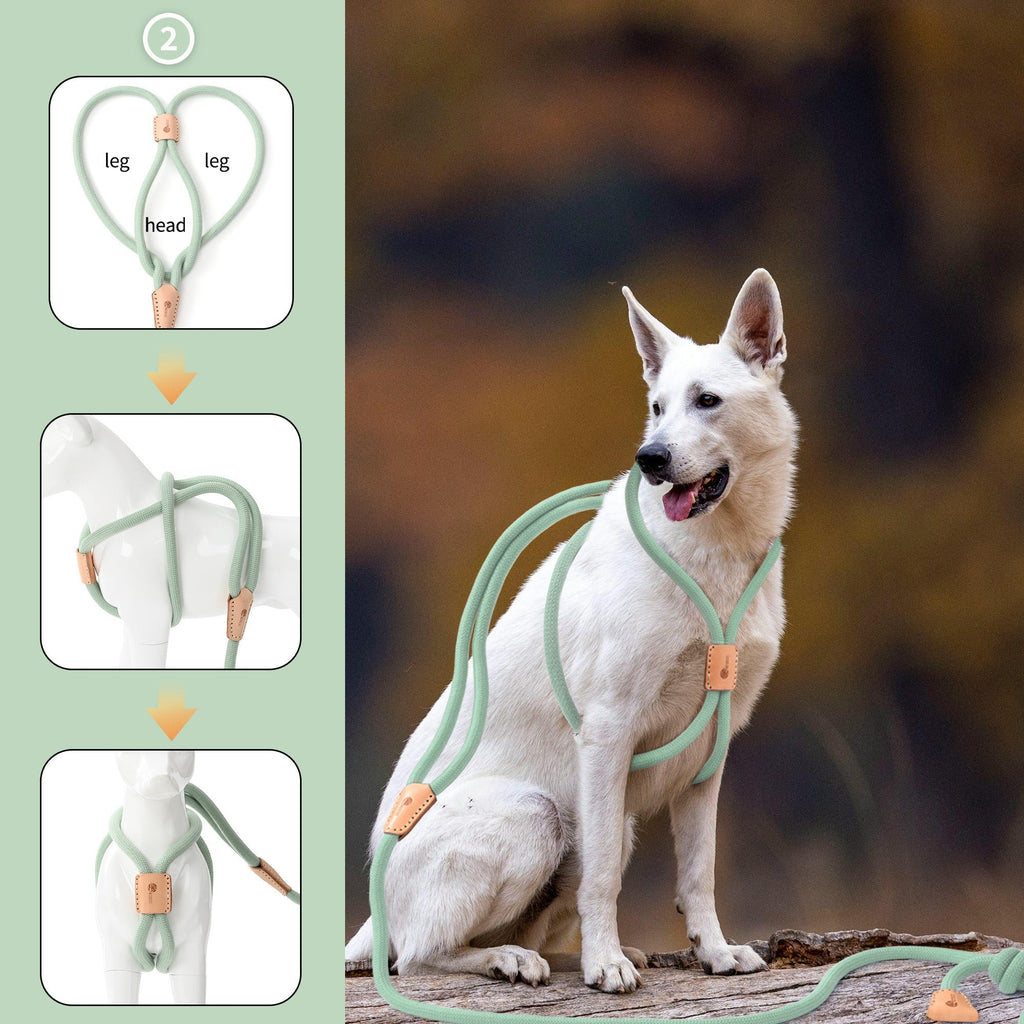 No Pull All-in-One Training Leash for Puppies & Small Dogs, Adjustable Slip Lead with Soft Rope, Secure Control for Walking & Training – Dog Slip Leash and - product image 21