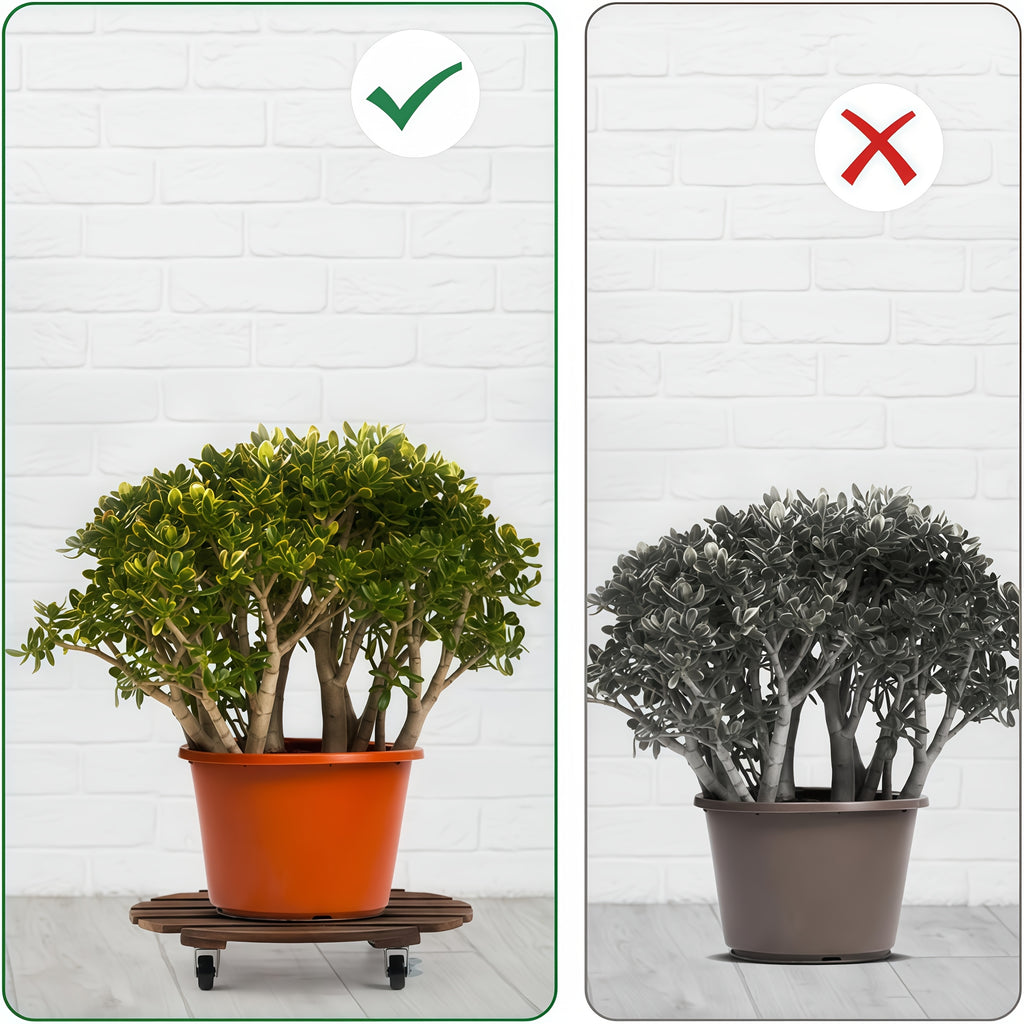 4 pcs Acacia Wood Rolling Round Plant Caddy for Plant Pots, Heavy Duty Plant Stand with 360° Lockable Wheels, 360Lbs Capacity Caddy for Indoor and Outdoor Use - product image 11