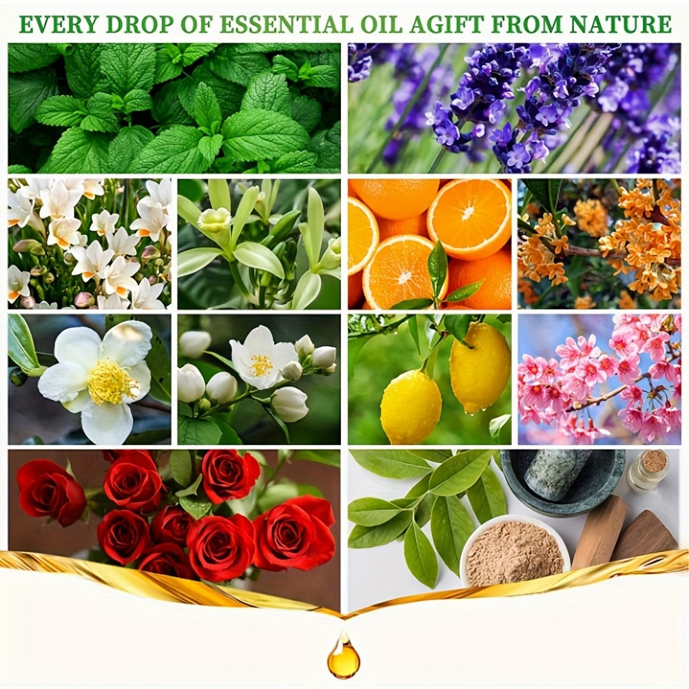 Fragrance Essential Oil Gift Set – Premium Hotel Scent Diffuser Oils for Candle Making, Aromatherapy & Home Fragrance | 12 or 24 Piece Set - product image 9