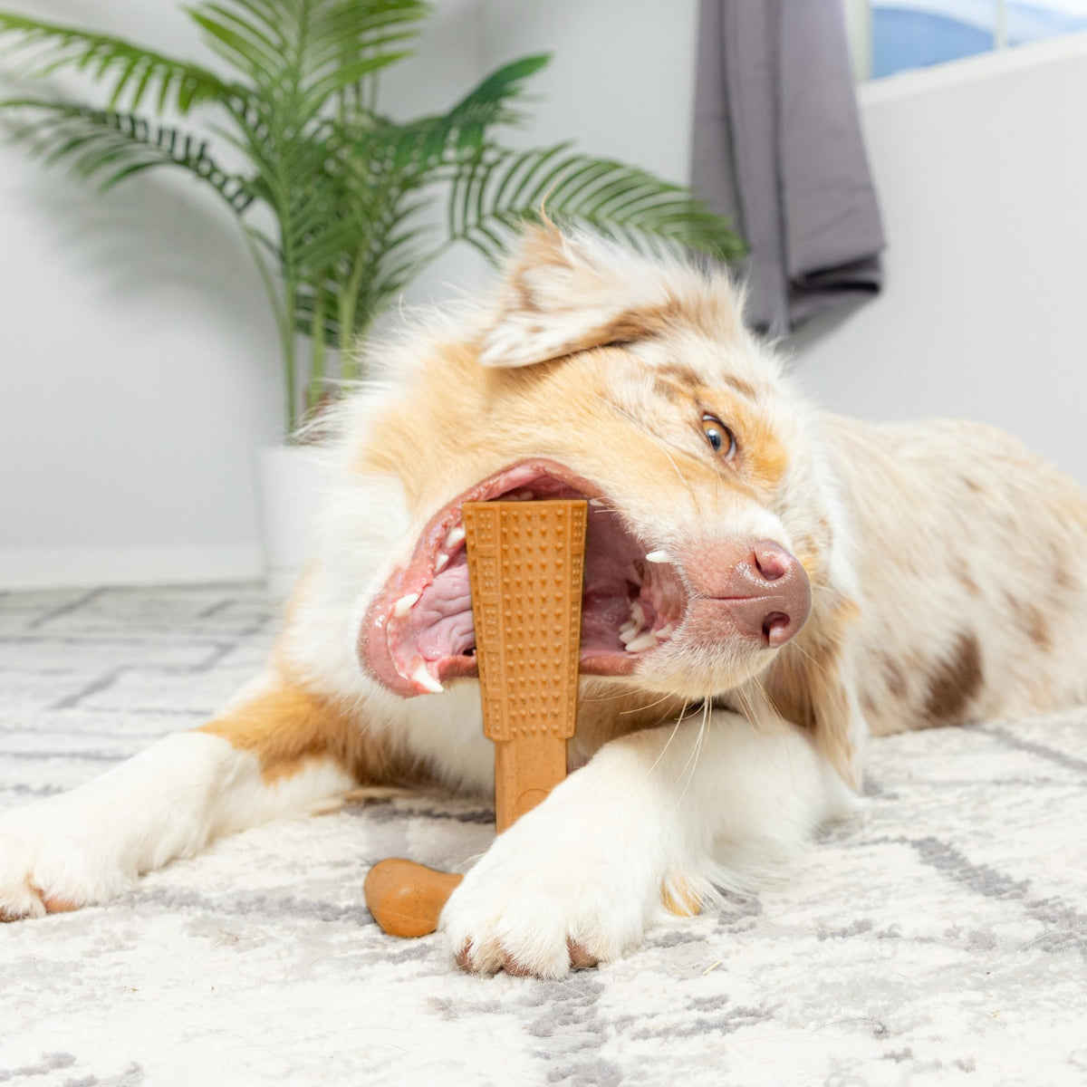Dog Dental Chew Toy T-Shape with Textured Ridges & Ergonomic Grip | Non-Splintering Durable Chew Toy for Aggressive Chewers, Teething Puppies & Adult Dogs - product image 2