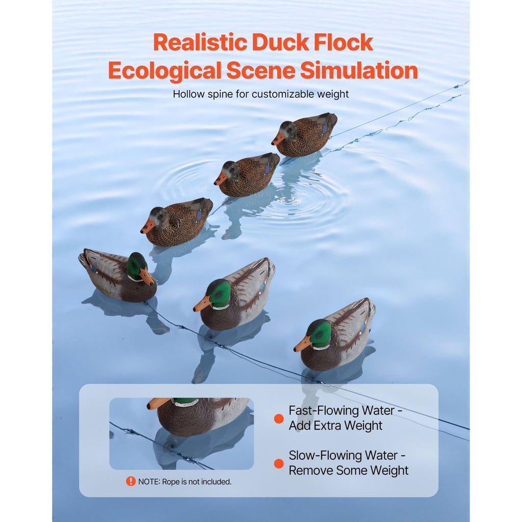 Realistic Floating Teal Decoy Set with Bionic Painting, XPE Compression Storage, 3 Male & 3 Female Ducks for Hunting, Pond Garden Yard Decoration, Flock - product image 8