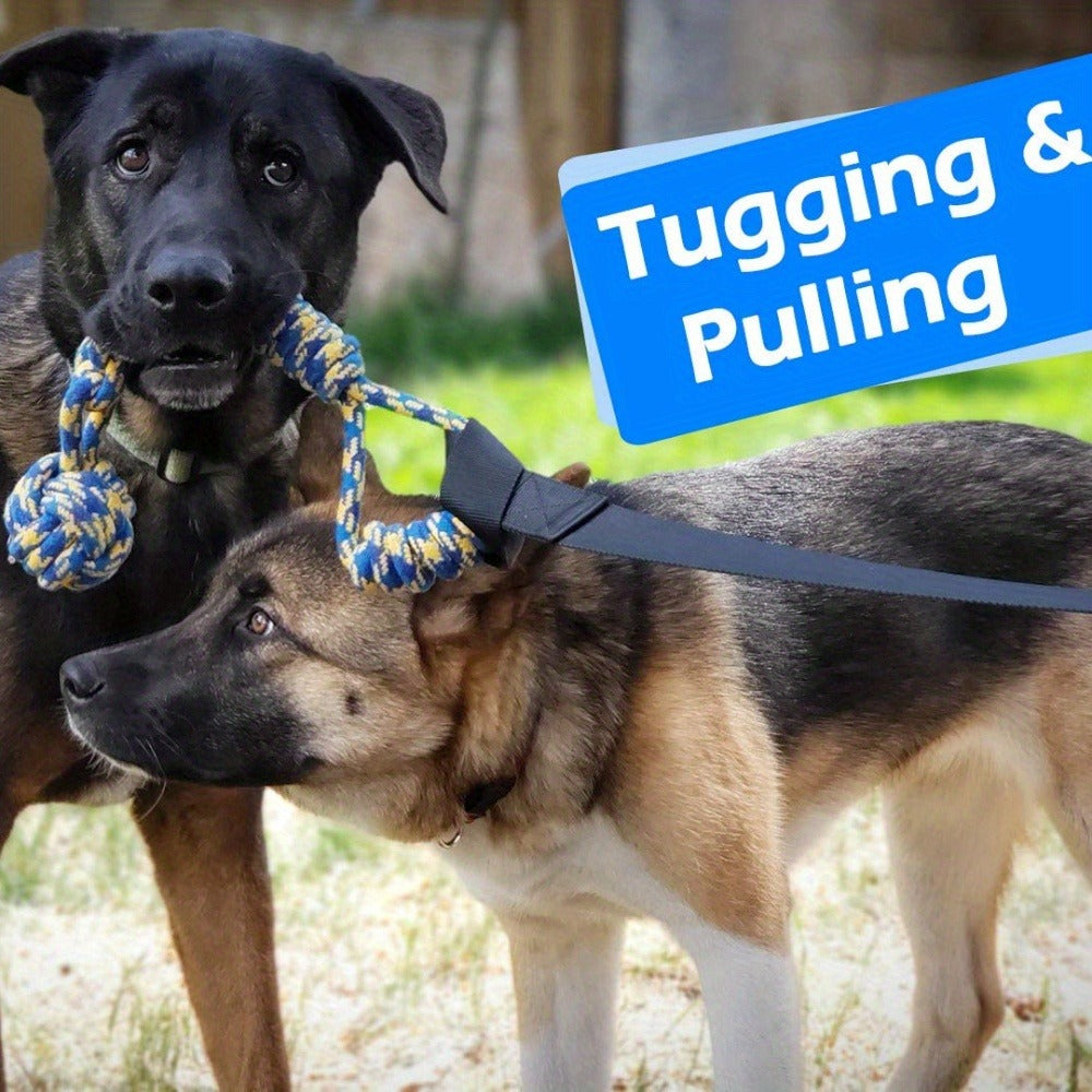 Bungee Dog Tug Toy Outdoor Hanging from Tree Height Adjustable 19.7 Ft Elastic Cord Tether with Chew Rope | Solo & Interactive Exercise Play for All Dog Breeds - product image 5