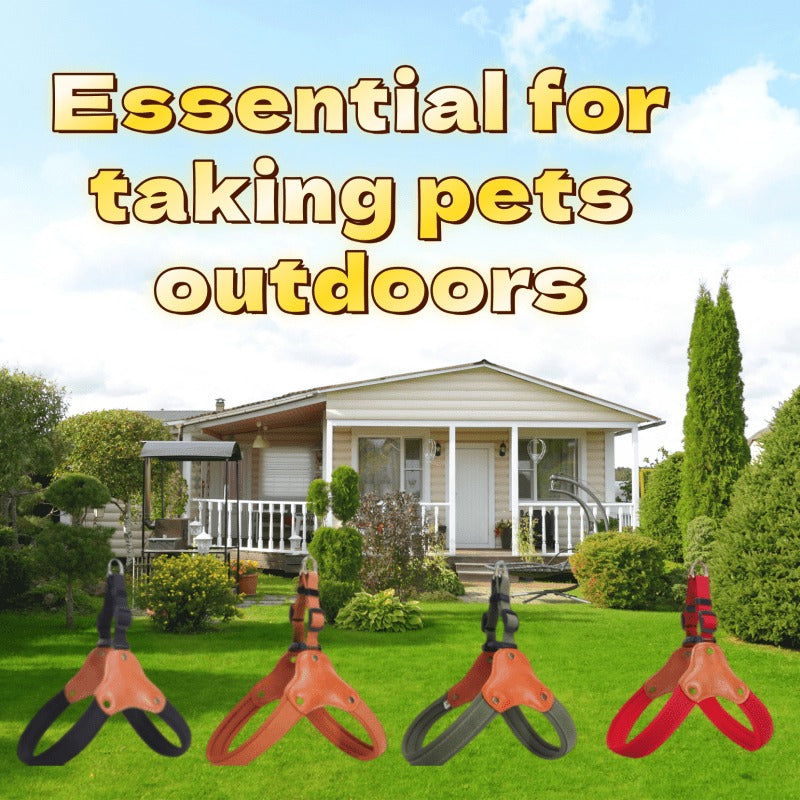 Outdoor Safety Leash for Large Medium Small Dogs, M/L/XL, Brown Black Red – Dog Leash & Harness Set - product image 10