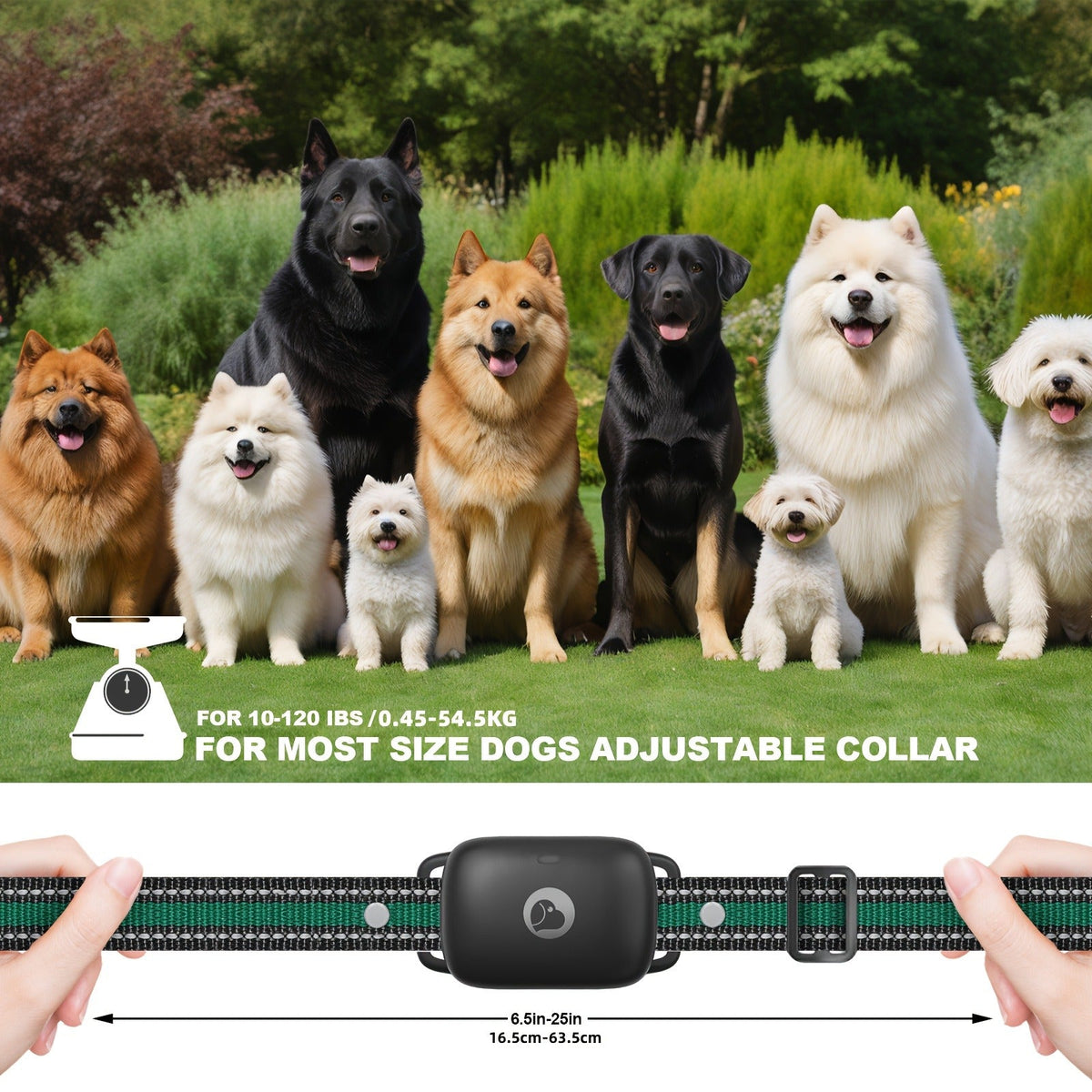 Dog E-Collar with Remote IP68 Waterproof – Rechargeable Dog Training Shock Collar for Small Medium Large Dogs, 3 Safe Training Modes, 1640ft Range – 1, 2 or 3 - product image 3