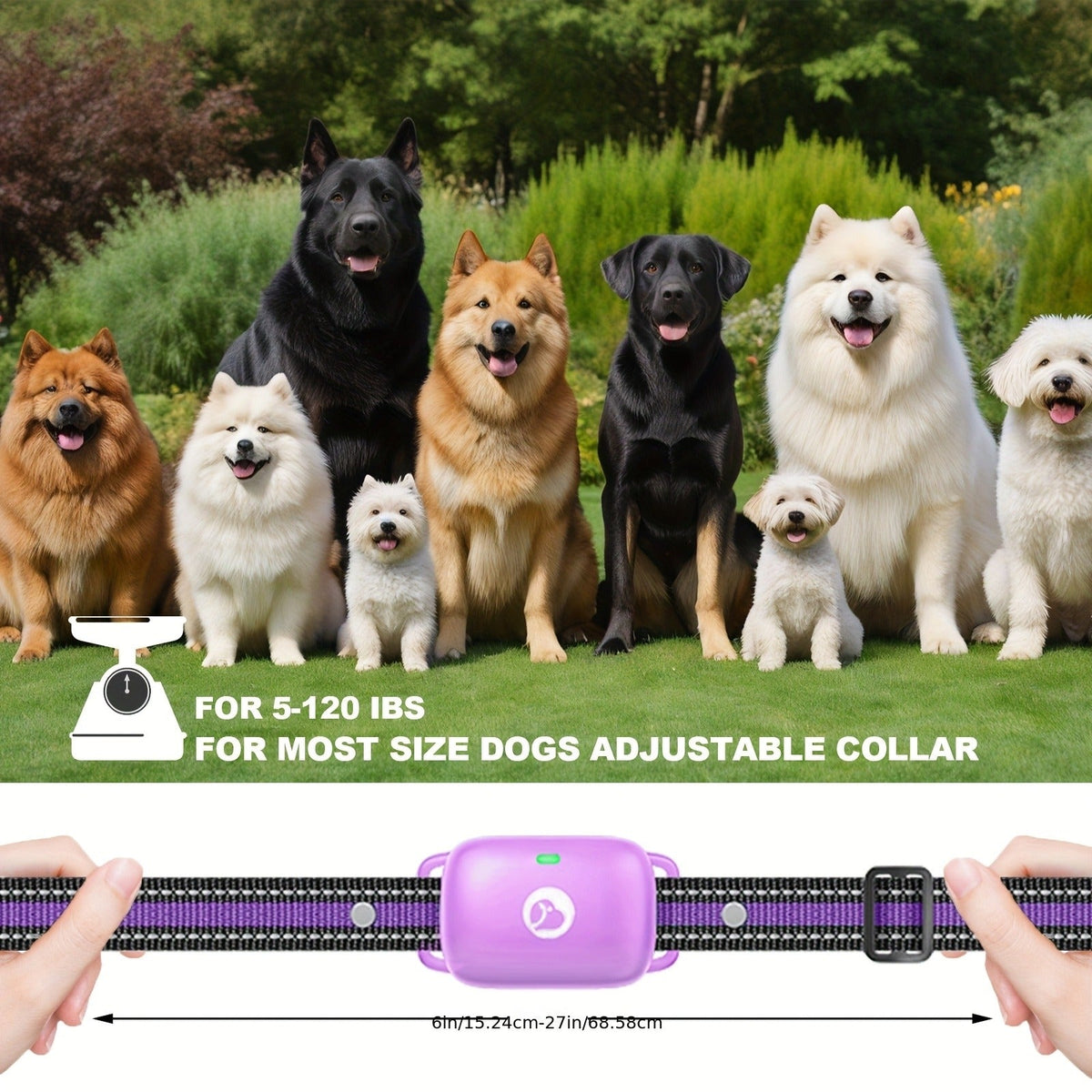 Dog Training Collar with Remote – Rechargeable E-Collar with 2600Ft Range, Beep, Vibration & Shock Modes, Security Lock – 1, 2 or 3 Dog Sets - product image 9