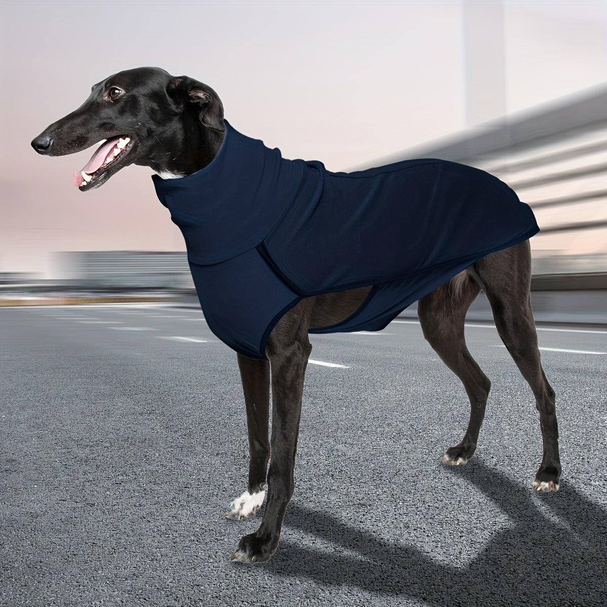 High Neck Dog Coat Warm Pullover – 4XL – Solid Color Woven Polyester Pet Jacket, Machine Washable, All-Season Fall & Winter Dog Apparel for Small Medium Large - product image 7