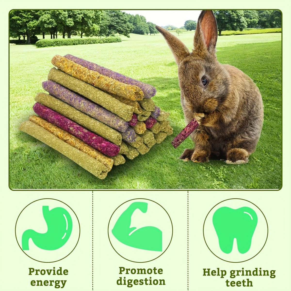 Timothy Hay Sticks 66pcs – Dental Health Chews for Small Pets – Natural Handmade Chew Toys & Treats for Rabbits, Guinea Pigs, Hamsters, Chinchillas, Rats - product image 4