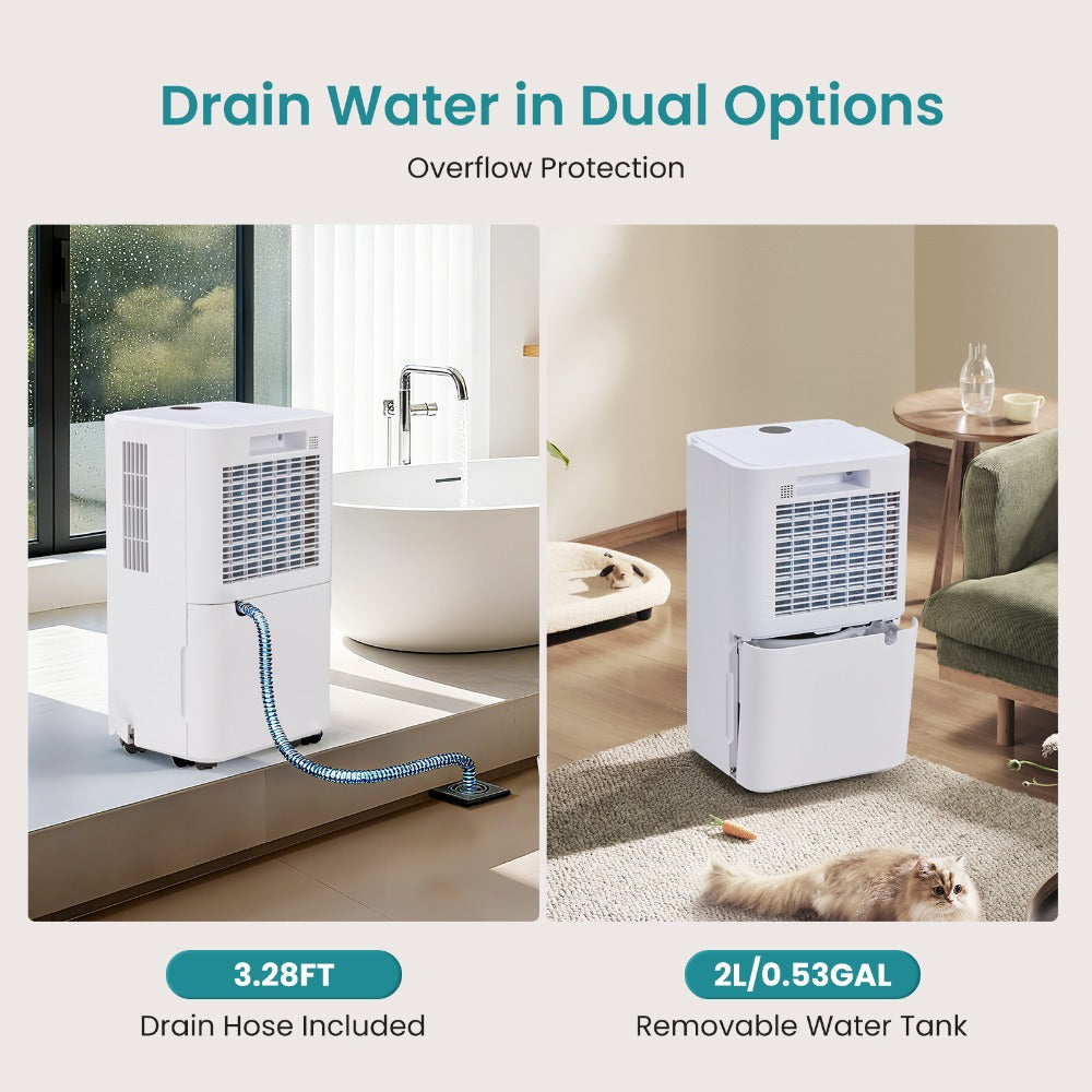 Dehumidifier for Basement 50 Pint 5500 Sq Ft with Drain Hose, Portable Home Dehumidifier for Large Room Bedroom Bathroom, 3 Modes Auto Shut-Off Quiet Fan Washable Filter Humidity C - product image 3