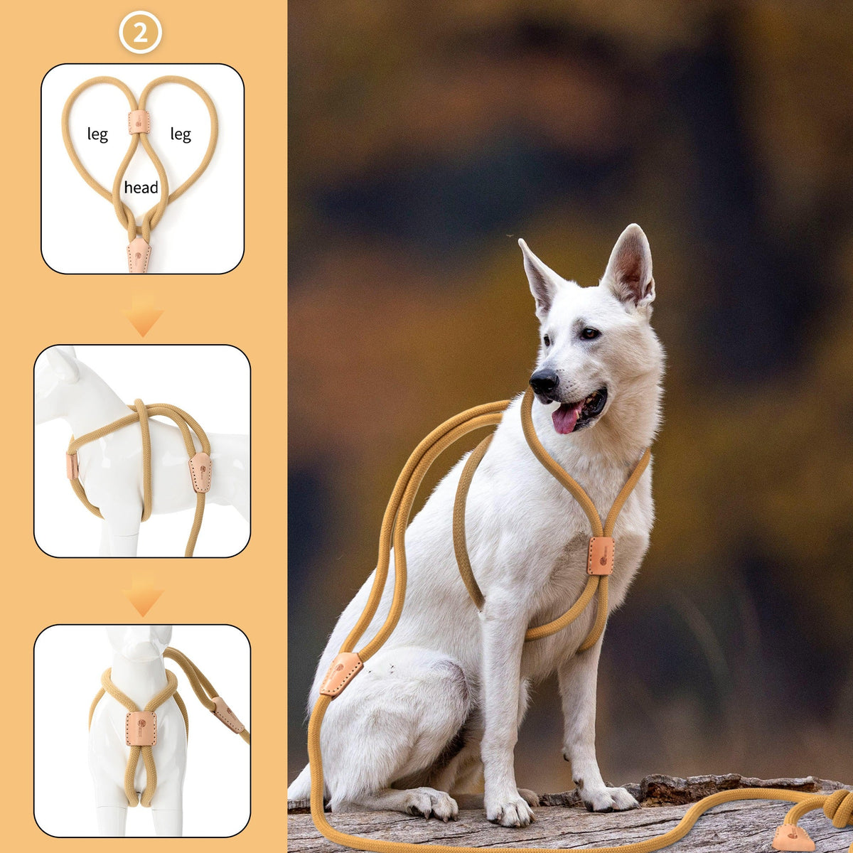 No Pull All-in-One Training Leash for Puppies & Small Dogs, Adjustable Slip Lead with Soft Rope, Secure Control for Walking & Training – Dog Slip Leash and - product image 23
