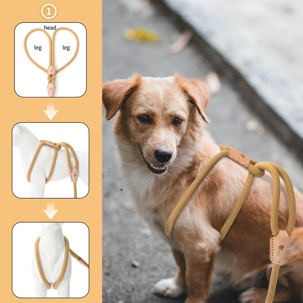 No Pull All-in-One Training Leash for Puppies & Small Dogs, Adjustable Slip Lead with Soft Rope, Secure Control for Walking & Training – Dog Slip Leash and - product image 32