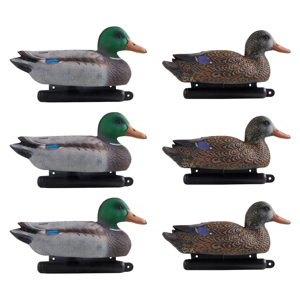 Realistic Floating Teal Decoy Set with Bionic Painting, XPE Compression Storage, 3 Male & 3 Female Ducks for Hunting, Pond Garden Yard Decoration, Flock - product image