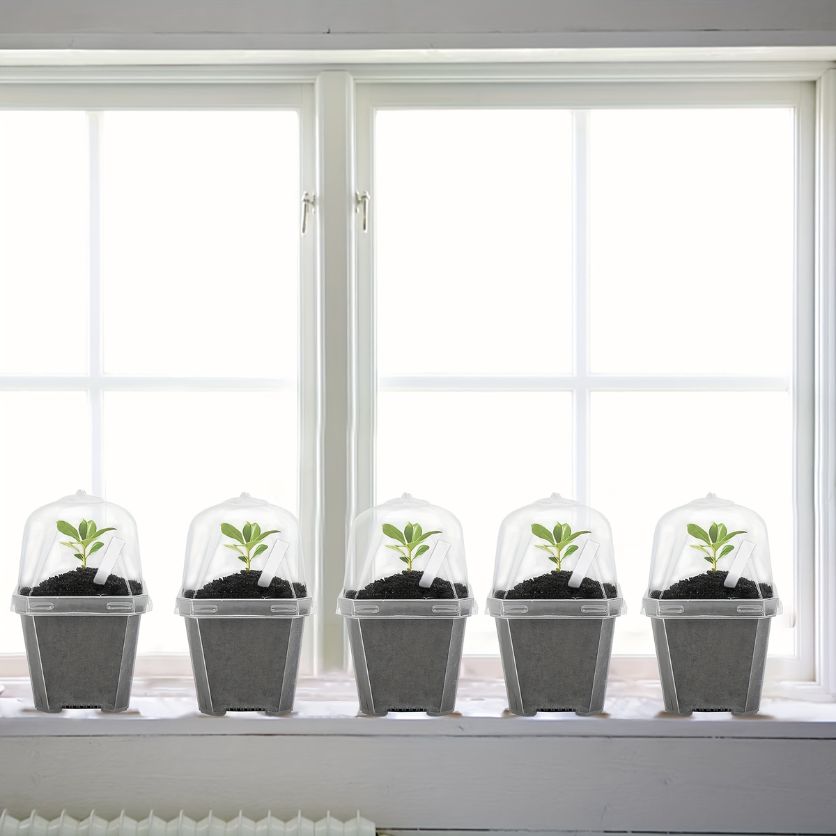 Clear Nursery Pots 3 Inch with Humidity Dome Lids 30pcs | Stackable Seed Starter Pots | Built-In Labels | Succulents Seedlings Cuttings Propagation - product image 2