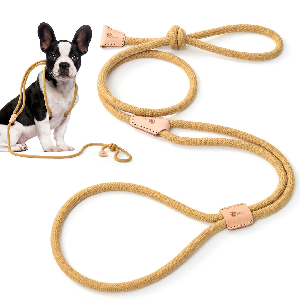No Pull All-in-One Training Leash for Puppies & Small Dogs, Adjustable Slip Lead with Soft Rope, Secure Control for Walking & Training – Dog Slip Leash and - product image 34