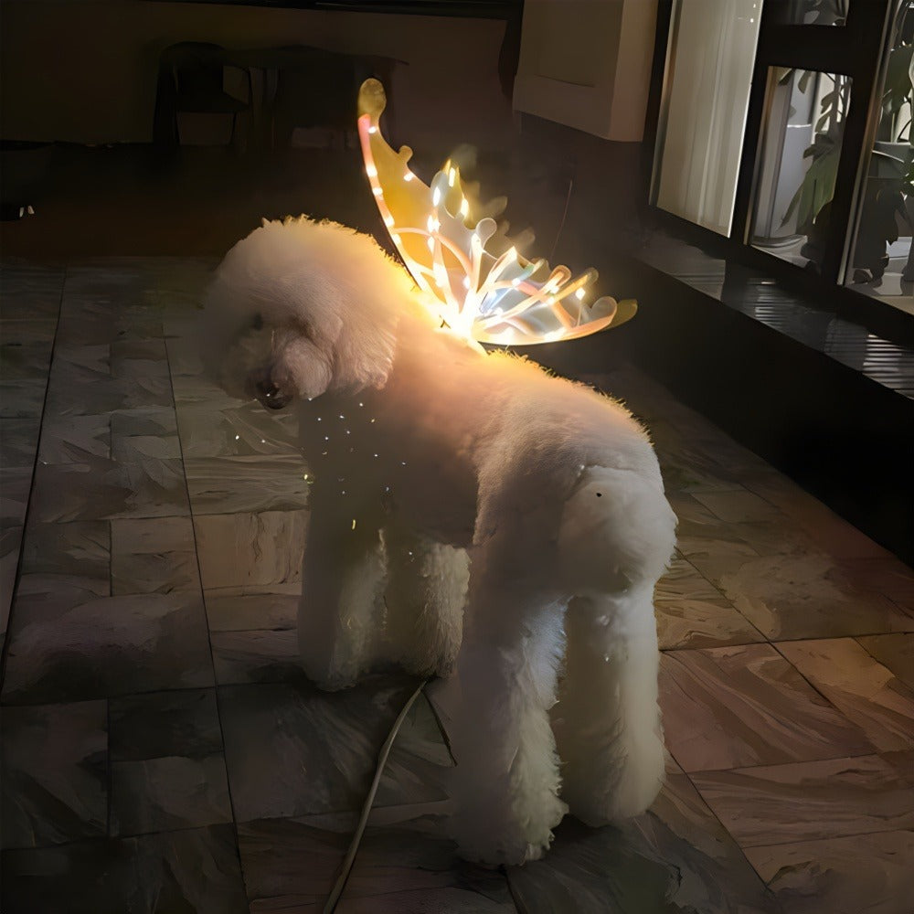 Multi-Color Illuminated Wings for Halloween, Christmas, Carnival, Cosplay & Themed Pet Parties, One Size Fits Most – LED Light-Up Butterfly Angel Wings Costume for Dogs, Girls & Women