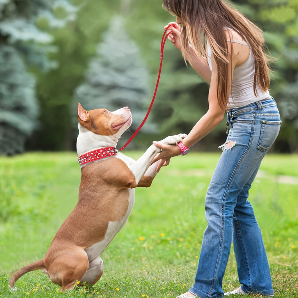 XXL, Black Pink Red Blue Purple | Rivet Dog Collar Bite Resistant with Leash Set, Heavy Duty Metal Buckle Pet Collar for Medium Large Dogs, Adjustable Sizes XS - product image 11