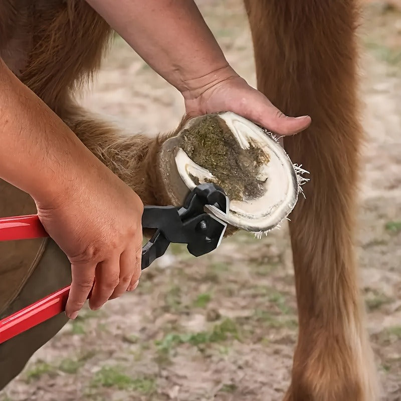 Hoof Trimming Kit 9-Piece Professional Farrier Tools | 10" Carbon Steel Hoof Nippers, Shears, Nail Clipper, Mini Rasp & Hoof Knife for Horse & Goat | Complete - product image 6