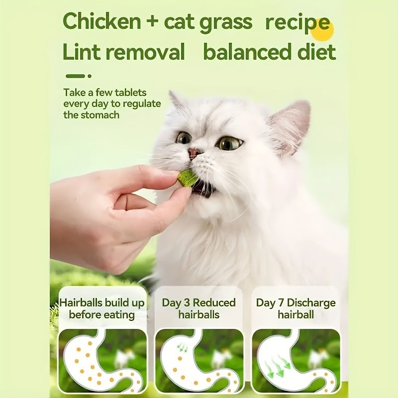 Cat Grass Pellets Freeze-Dried 150g | Mint Flavor Hairball Control Granules, Natural Chewing & Teeth Grinding Snack for Cats, Digestive Support Cat Treat - product image 7