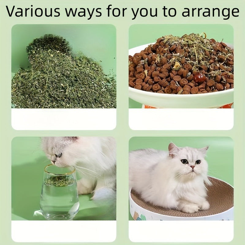 Dried Herb Snacks for Cats to Aid Digestion, Reduce Hairballs & Stress, Promote Oral Health and Stimulate Natural Instincts | Natural Cat Treats 100g - product image 6
