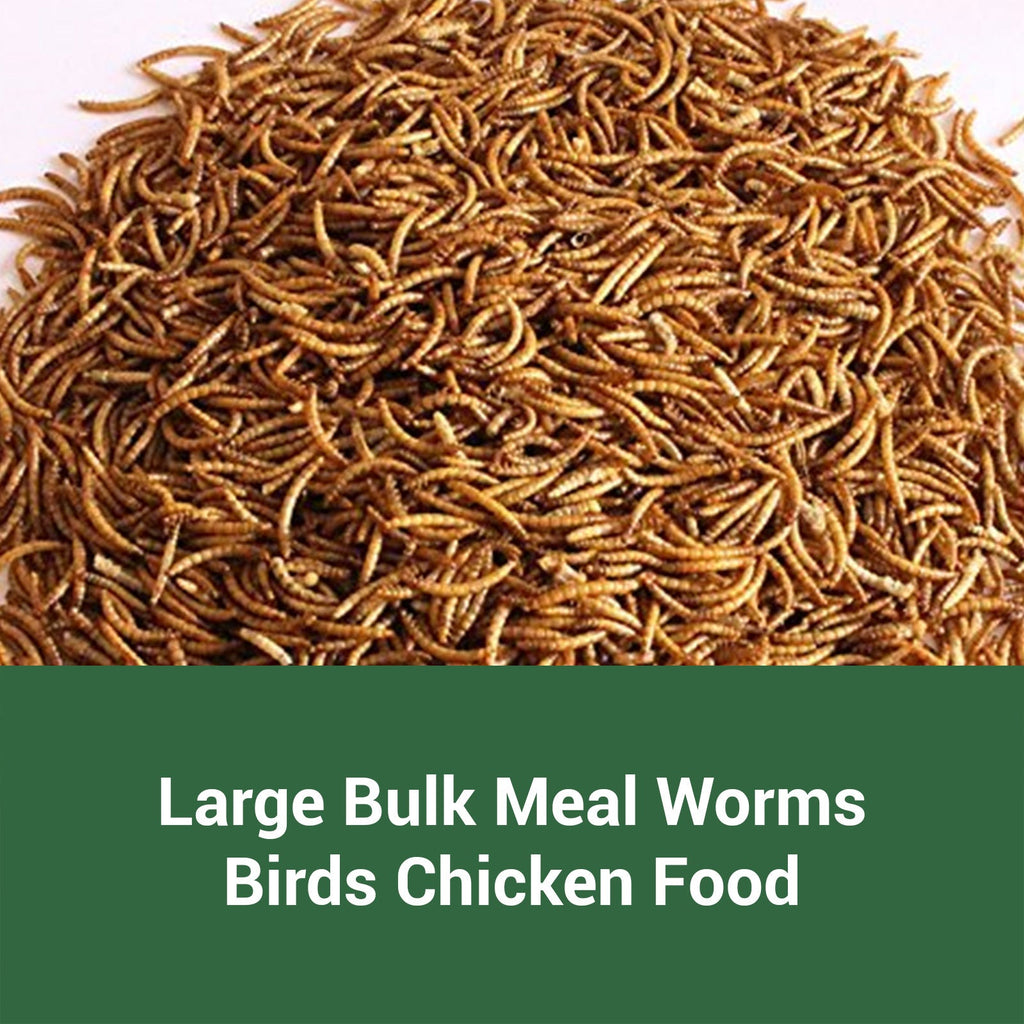 Natural Insect Treats for Chickens Wild Birds Hens Ducks Turtles Fish Lizards Hamsters, Non-GMO Dried Larvae Pet Food Supplement, 0.6LB to 44LB – Dried - product image 5